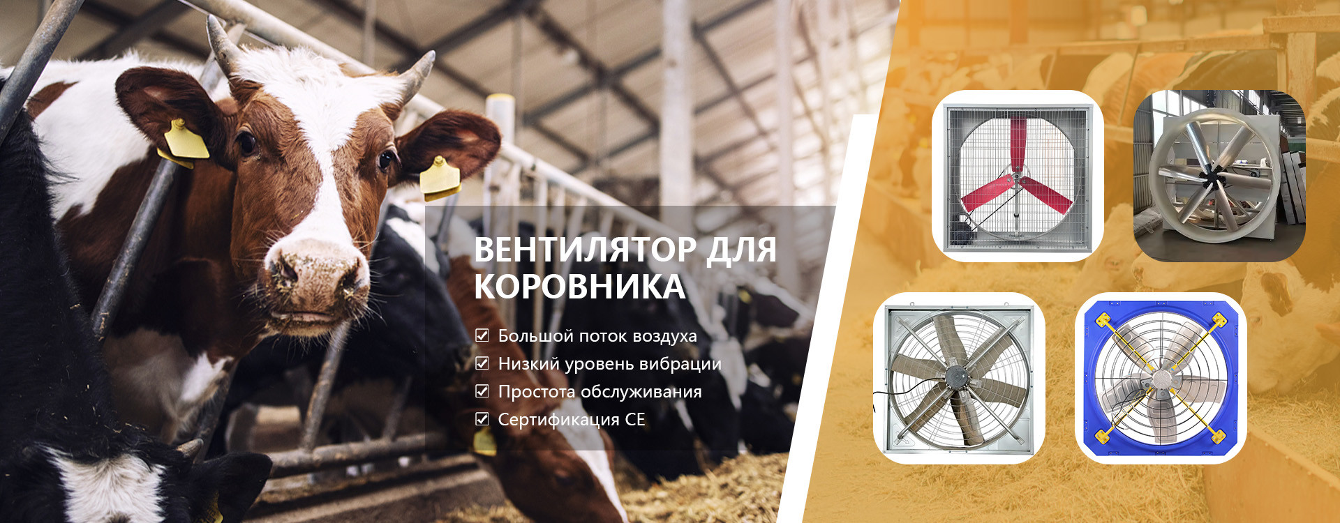 качество Выхлопный вентилятор завод